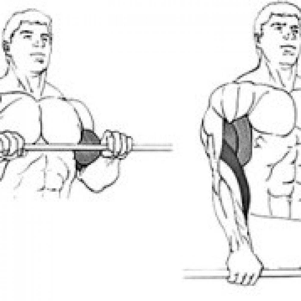 Вертикальная тяга обратным хватом, отзывы - упражнения на спину