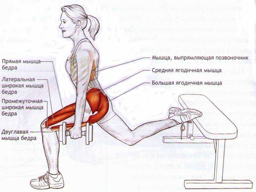 Болгарские выпады назад: сплит приседания с гантелями, в смите, со штангой, с шагом -  техника выполнения, какие мышцы работают, как делать