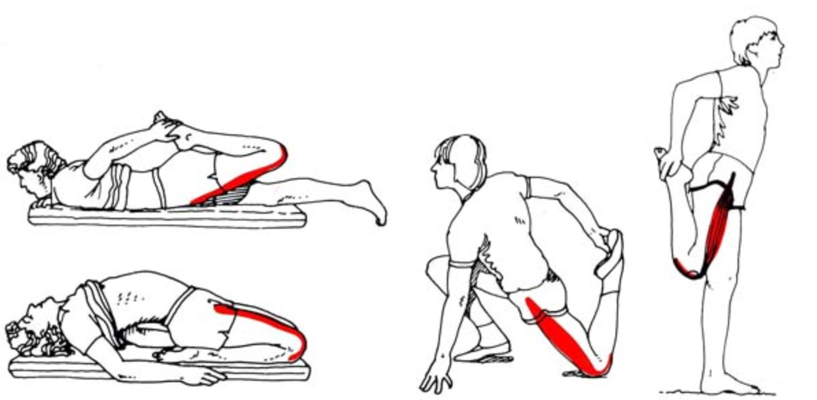 Польза растяжки квадрицепса Упражнения для растяжки четырехглавой мышцы бедра с описанием техники Рекомендации к занятиям