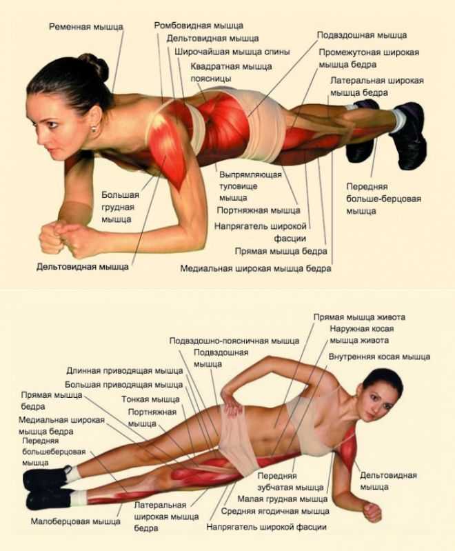 Статическое упражнение на мышцы живота и спины. Упражнения в боковой планке. Планка упражнение мышцы. Планка для мышц спины. Планка для похудения группы мышц.
