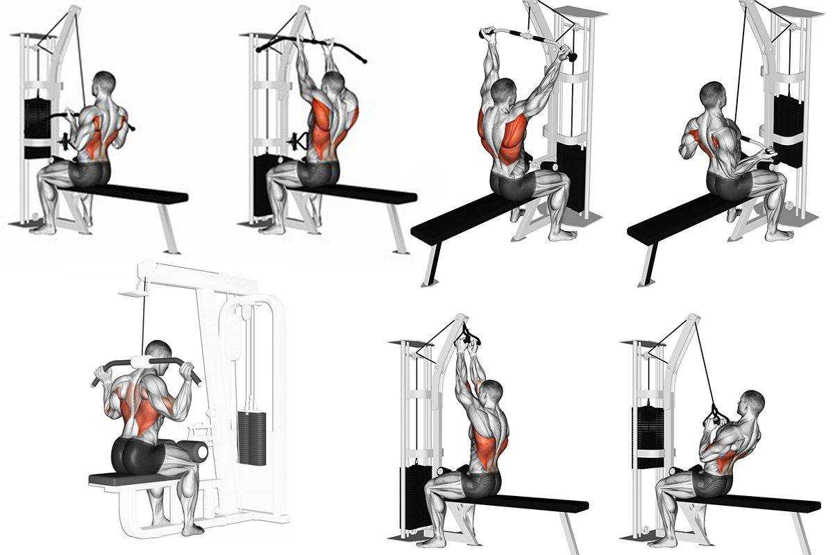 Упражнения на толщину спины в тренажерном зале и домашних условиях: описание и техника выполнения Как должна проходить тренировка толщины спины