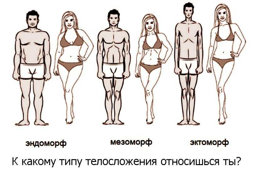 Зачем и как определить свое телосложение Тест на соматотип Особенности типов: эктоморф, мезоморф, эндоморф Преимущества теста на соматотип для мужчин и женщин