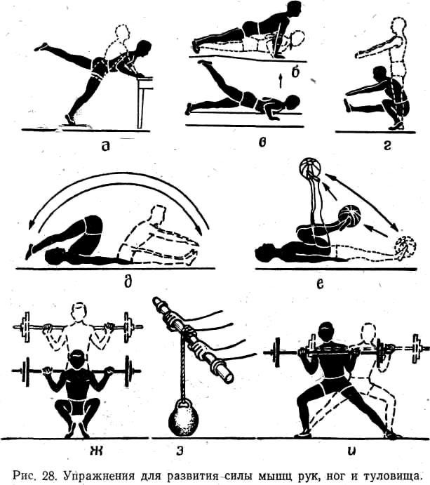 Как развить взрывную силу мышц: упражнения и рекомендации для тренировок