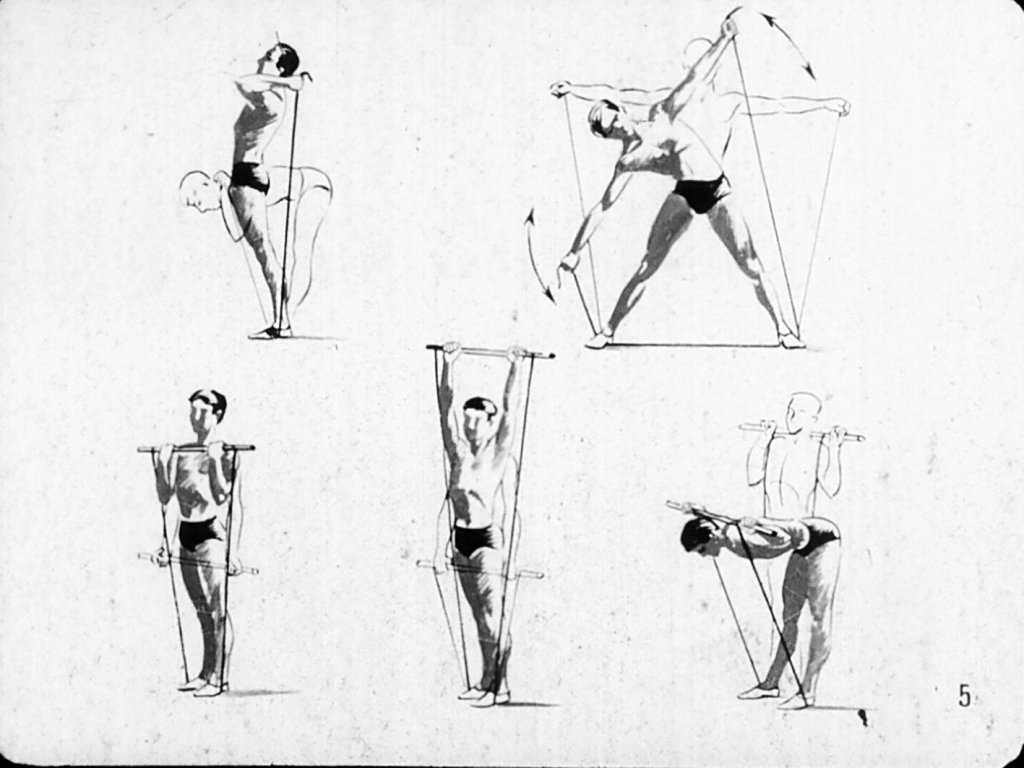 Упражнения с пружинным эспандером для женщин и мужчин: техника выполнения и виды