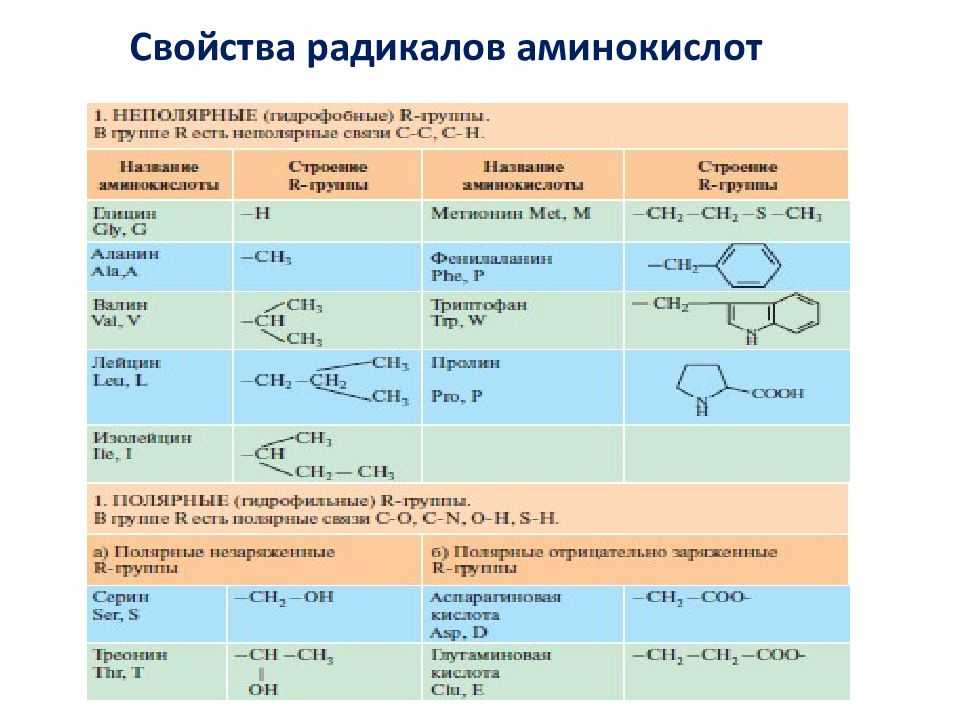 Химические элементы аминокислот. Классификация аминокислот биохимия таблица. Свойства радикалов аминокислот биохимия. Классификация Альфа аминокислот по радикалу. 20 Аминокислот классификация.