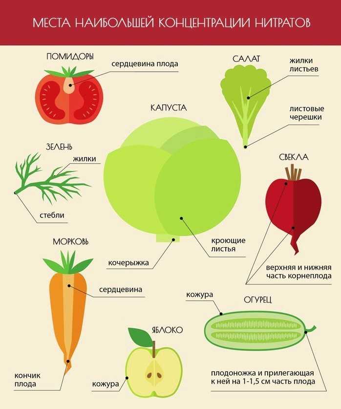 Определен растительный продукт. Нитраты в овощах и фруктах. Нитраты и нитриты в овощах и фруктах. Способы определения количества нитратов в овощах. Накопление нитратов в овощах.