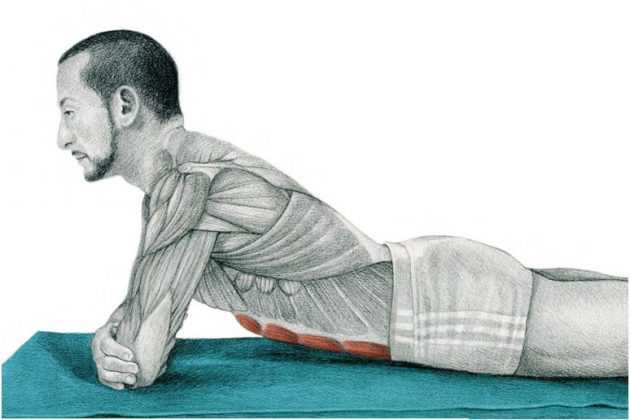 Растяжка пресса: как правильно растянуть мышцы живота