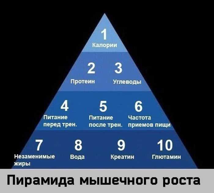 Пирамида – лучший прием для набора массы - bodysekret.ru
