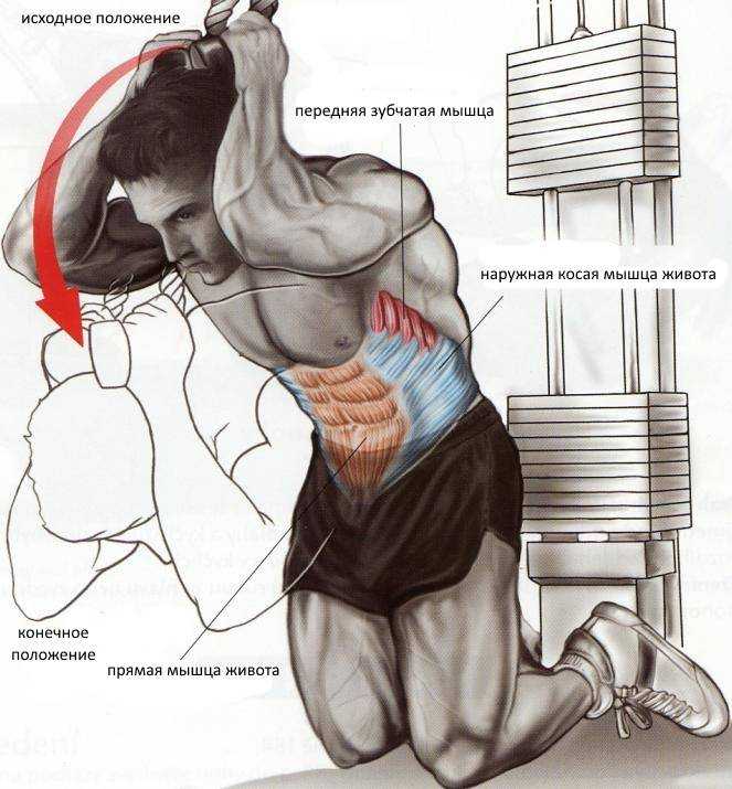 Тренировка мышц кора: проработка мышц-стабилизаторов