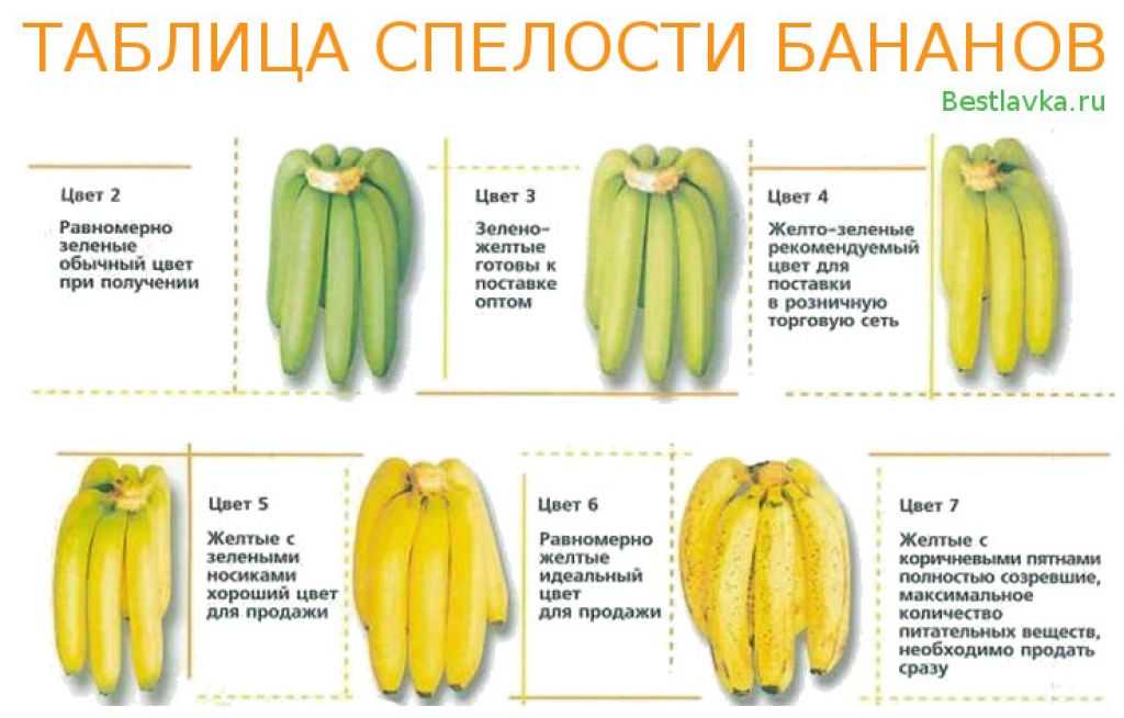 Бананы какой зрелости запрещено выставлять. Степень созревания бананов. Таблица спелости бананов. Степень зрелости бананов. Бананы по степени зрелости.