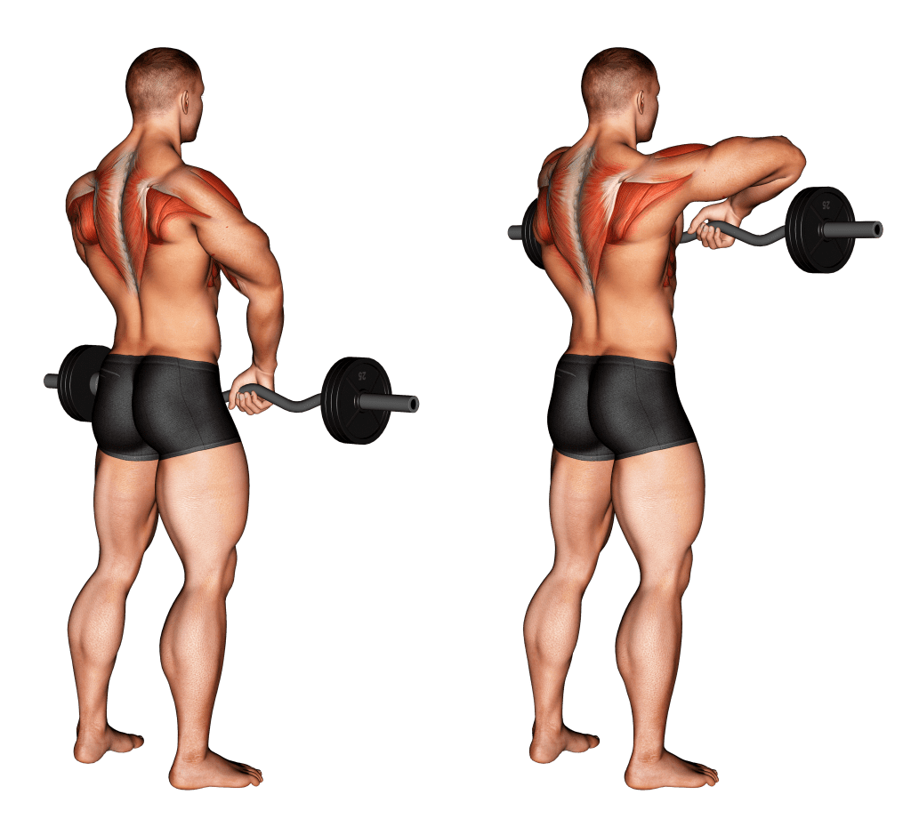 Тяга верхнего блока к груди узким и широким хватом: техника и советы | твой фитнес