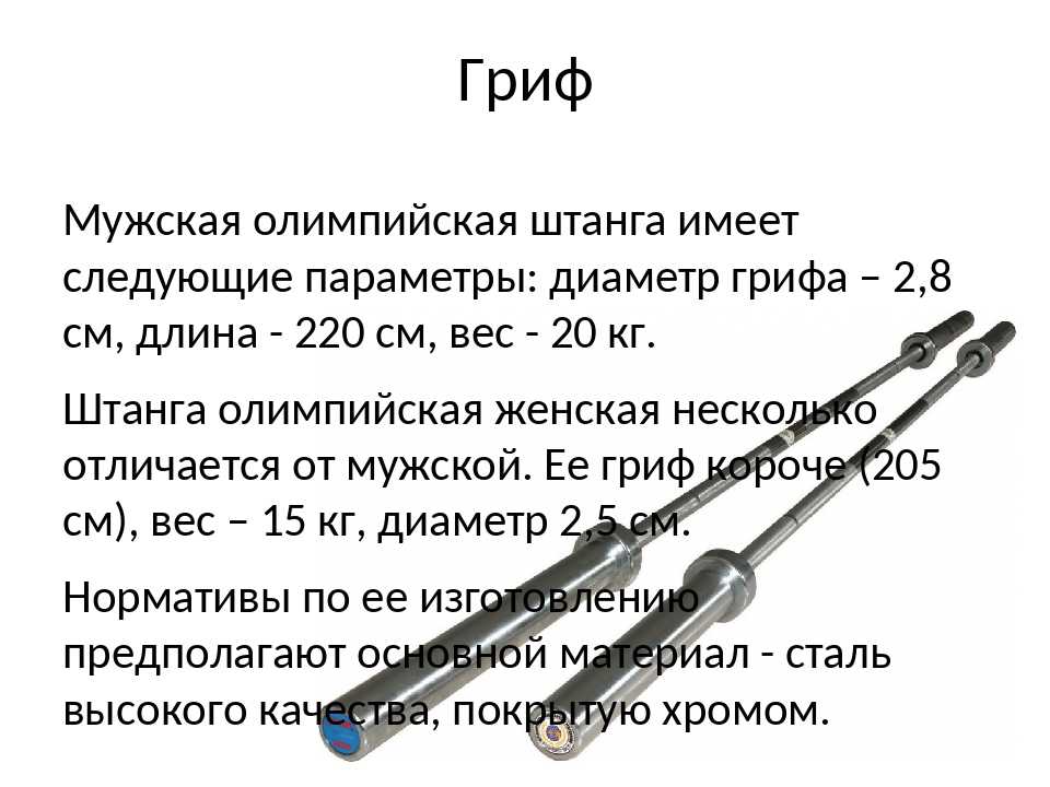 Какие бывают грифы для штанги