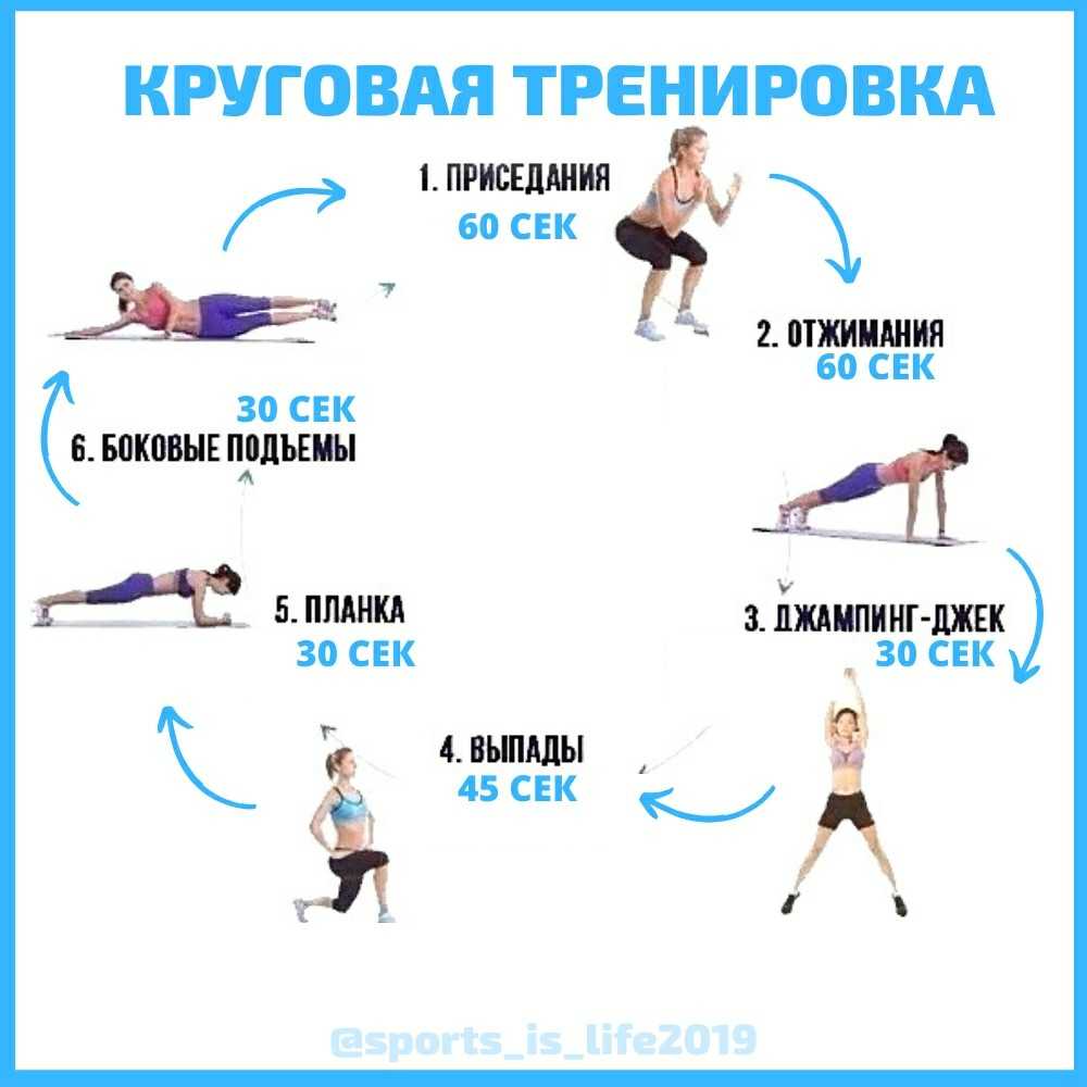 Силовые упражнения | анатомия силовых упражнений