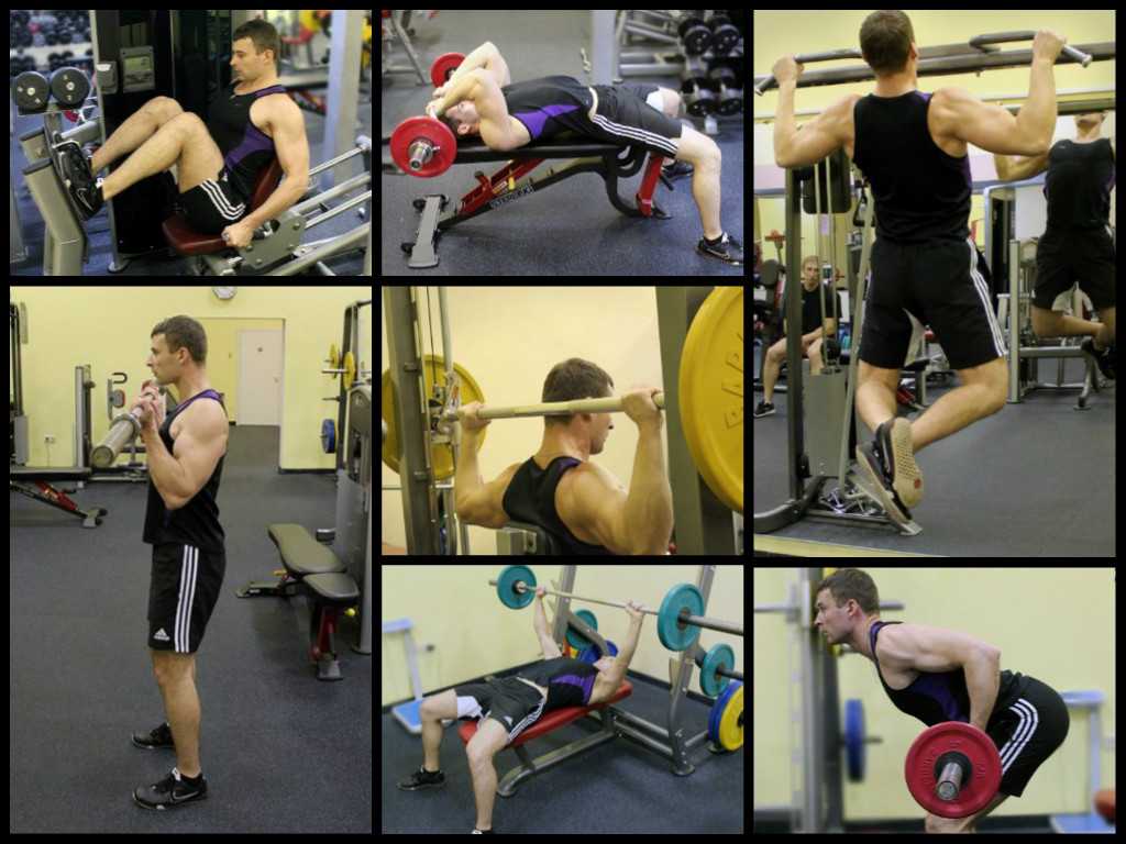 Упражнения для спины и особенности тренировки