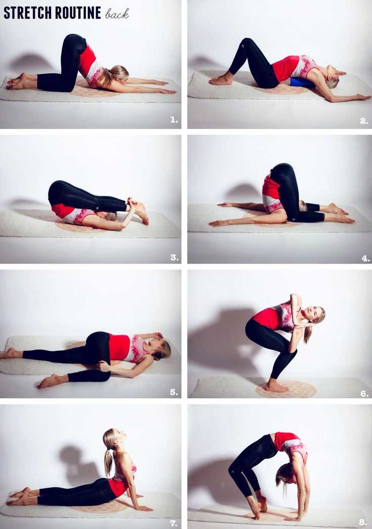 Упражнения для гибкости спины, как развить гибкость спины?