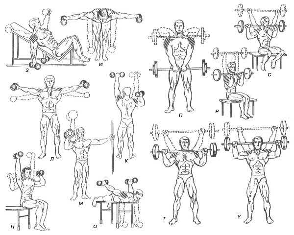 Упражнения на плечи в тренажерном зале: комплекс упражнений, особенности выполнения