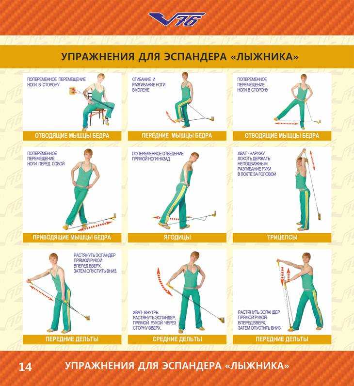 Упражнения с эспандером (резиновым, пружинным): тренировки для мужчин и женщин в домашних условиях