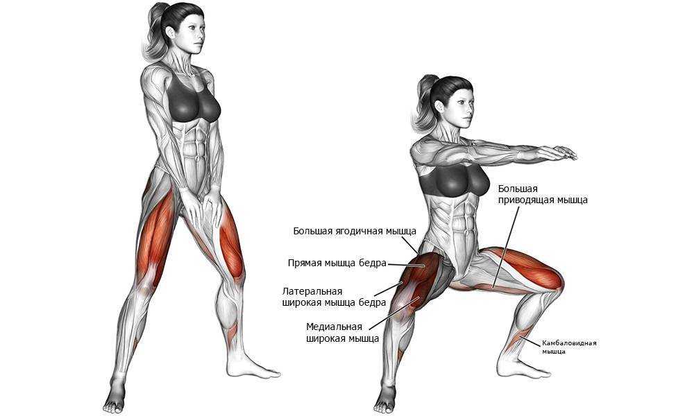 Степпер: какие мышцы работают, отзывы и результаты, эффективность