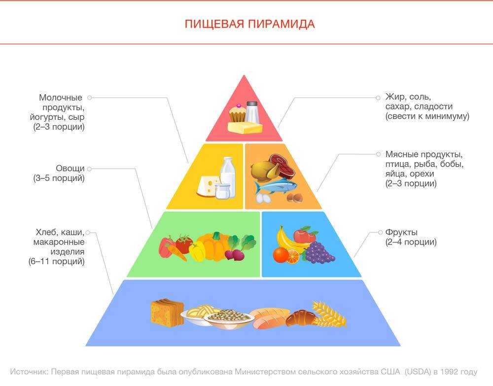 Взбираемся на пирамиду здорового питания