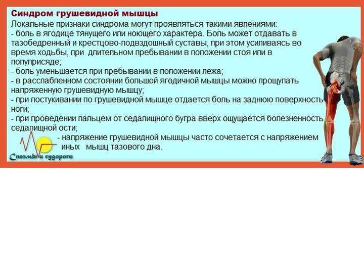 Упражнения для ягодиц дома и в тренажерном зале