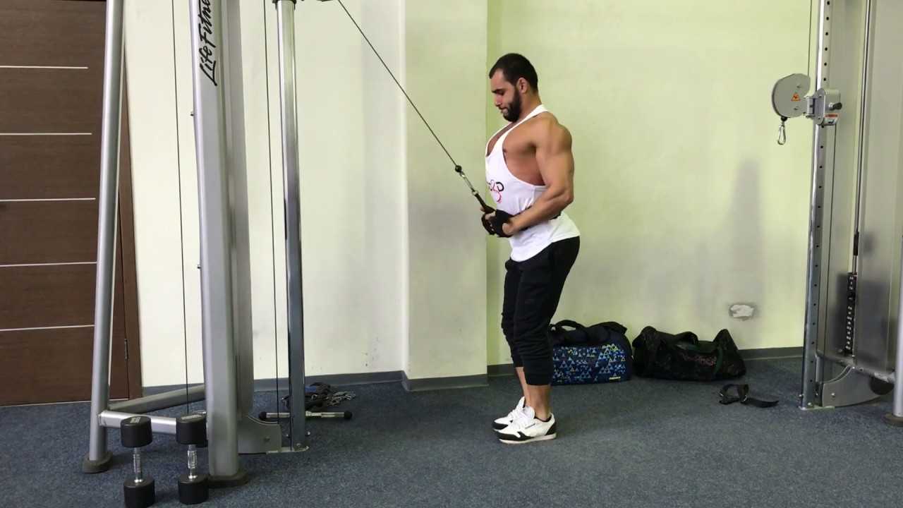 Упражнение пуловер: эффективность и задействованные группы мышц, правильная техника со штангой и гантелями