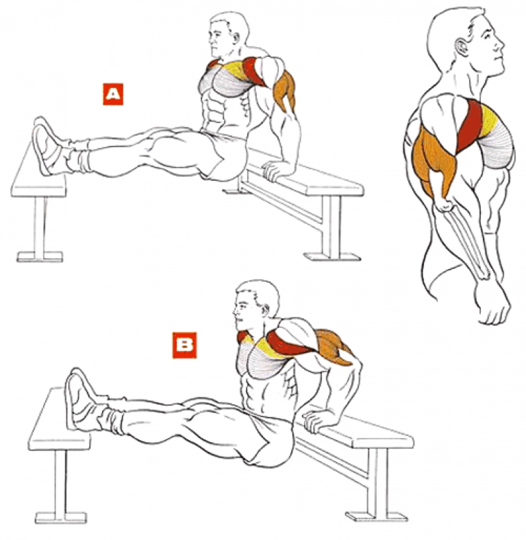 Топ-16 упражнений на растяжку рук и плечевого отдела