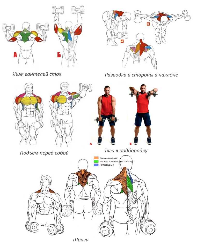 Упражнения для плеч, способы повышения эффективности занятий