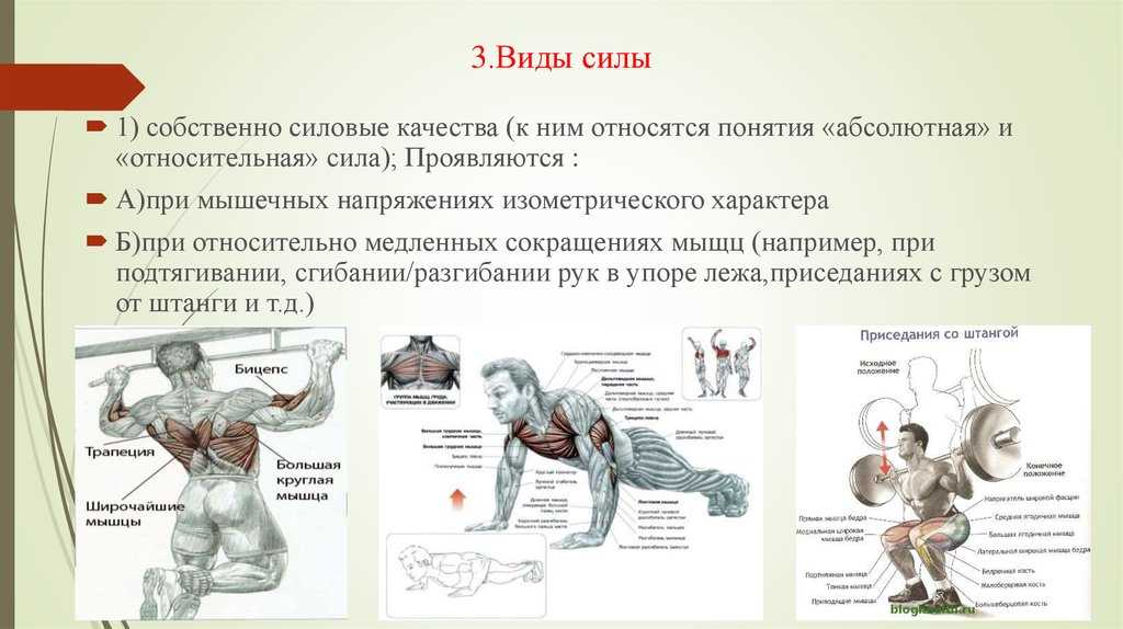Силовая тренировка: что это такое? частота тренировок, подходы и повторения