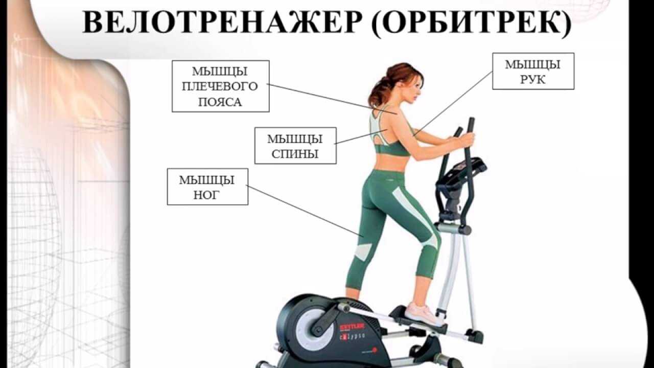 Как выбрать лучший велотренажер для дома: правильные советы по выбору от ichip.ru  | ichip.ru
