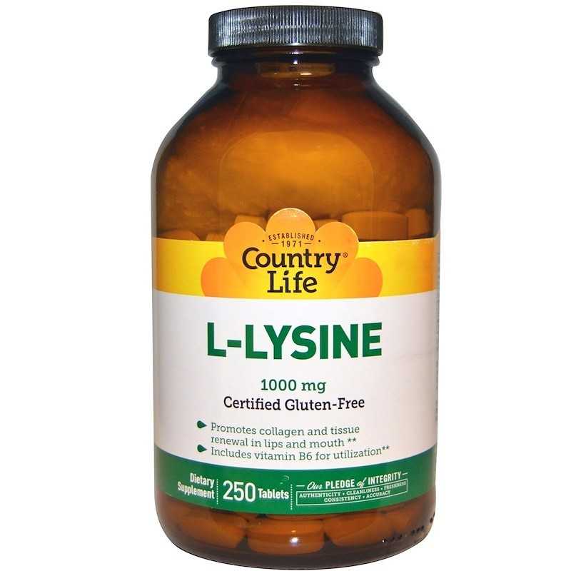 L-лизин для кишечника и мозга