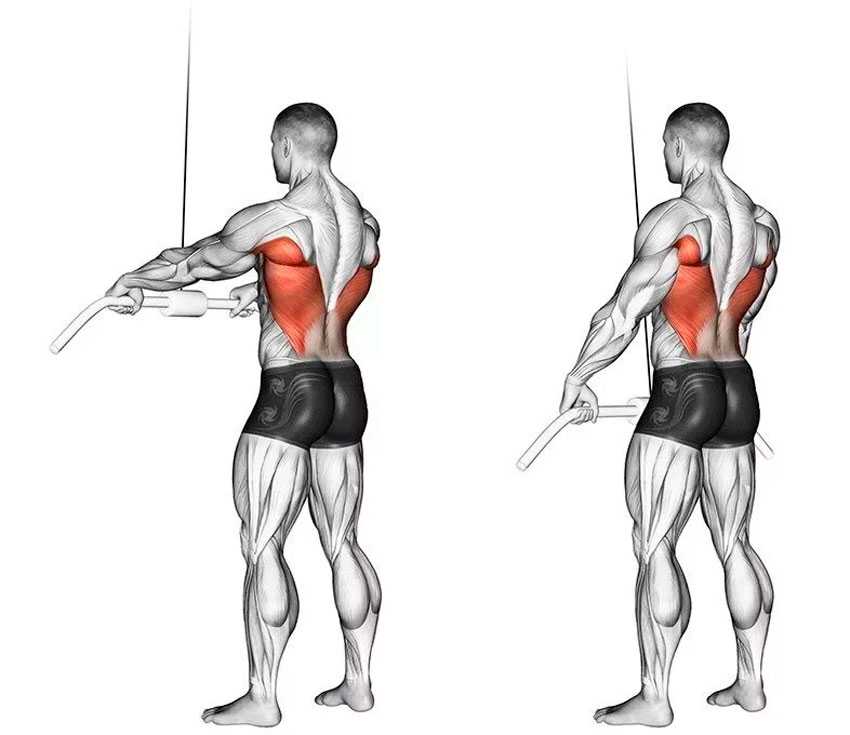 Тяга верхнего блока: какие мышцы работают при разных хватах