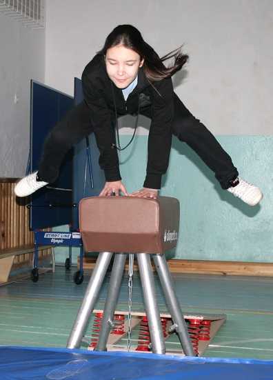 Тема: методика обучения учащихся технике опорного прыжка согнув ноги через гимнастического «козла».