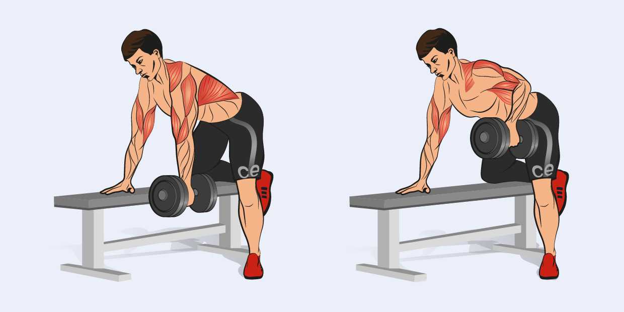 Как правильно делать тягу в наклоне и какие есть варианты техник? какие мышцы работают?