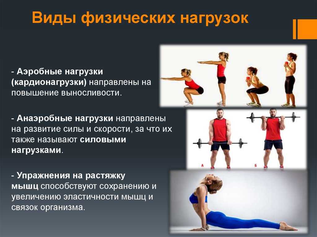Комплекс упражнений на все группы мышц: пример эффективной короткой программы силовых тренировок для дома