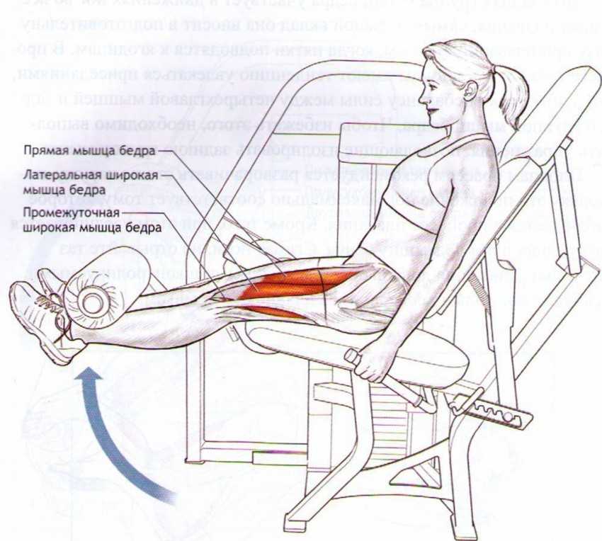 Сведение ног на тренажере сидя: техника, особенности, рекомендации и ошибки.