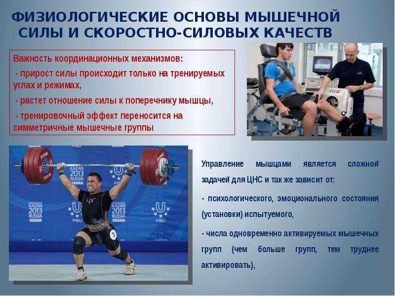Как растут мышцы и как тренироваться, чтобы они росли?