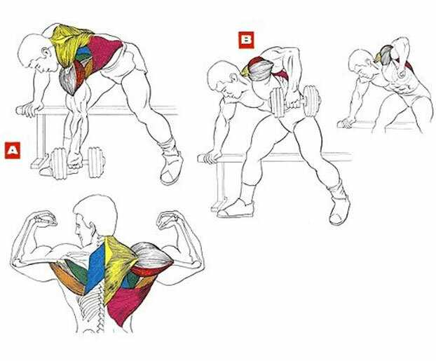 Как прокачать спину и трицепс: 20 упражнений для качественной тренировки