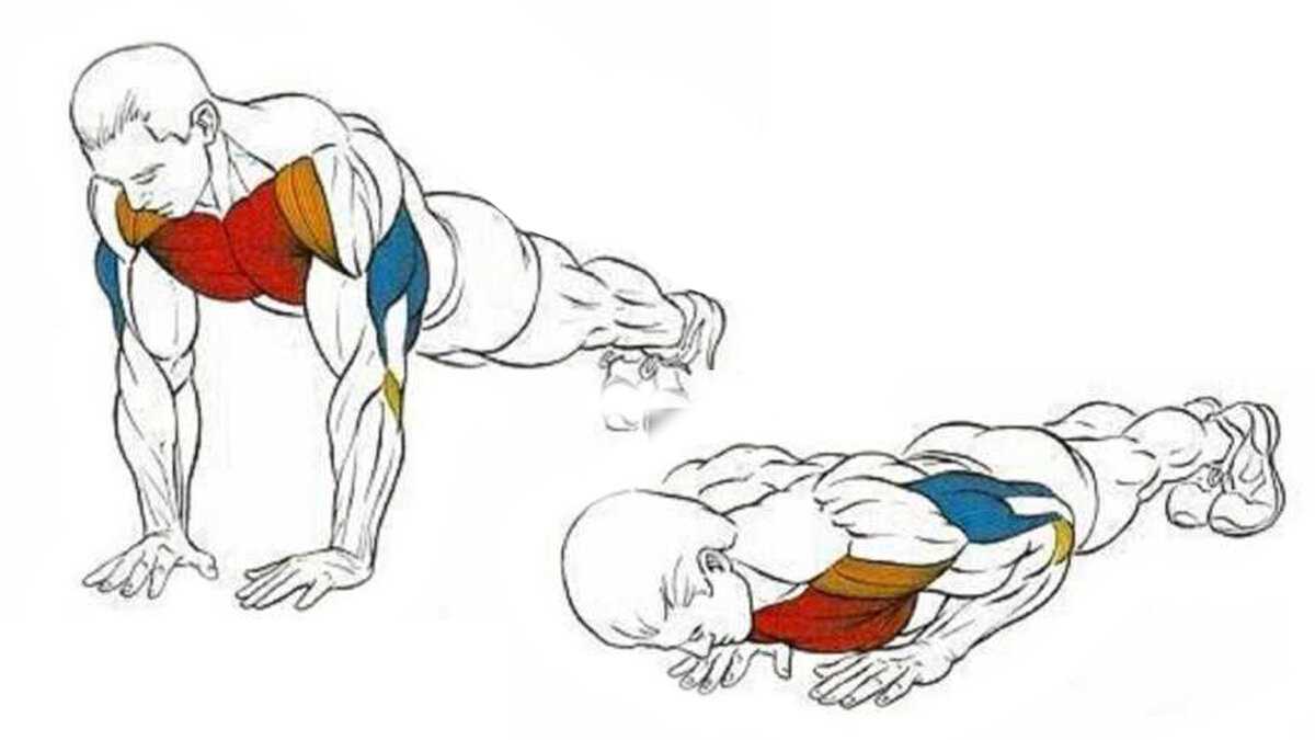 Как правильно отжиматься широким хватом и какие мышцы можно прокачать?