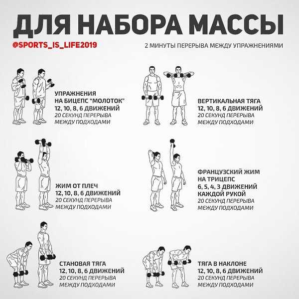 Как накачать руки: правила проведения тренировок для создания мускулов
