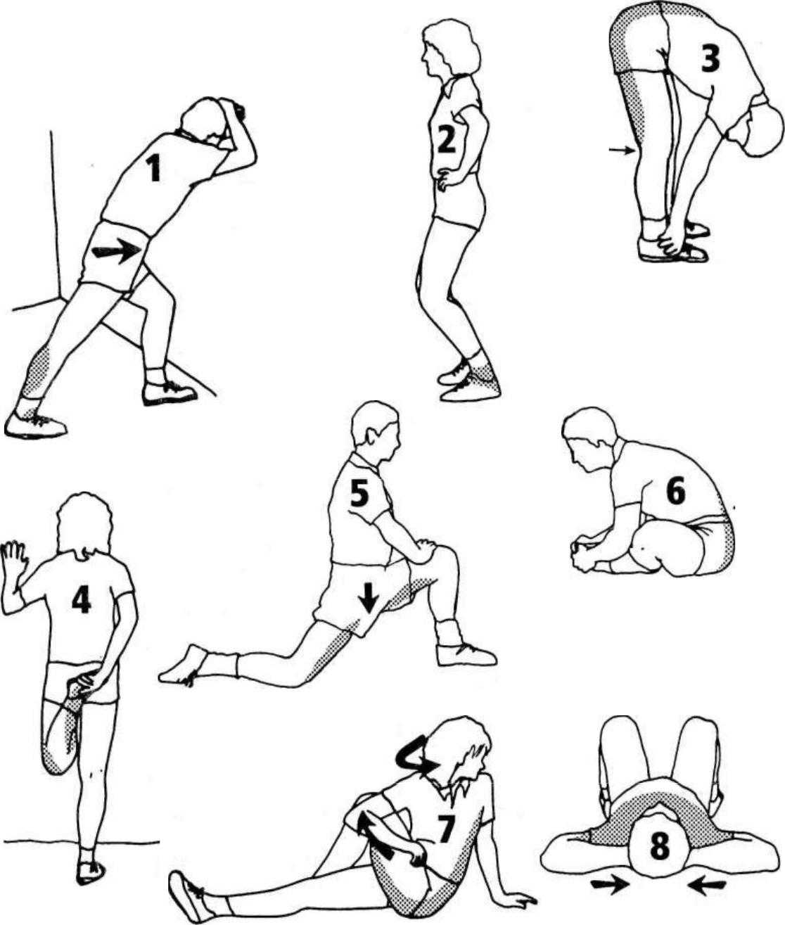 Стретчинг упражнения для начинающих: программа тренировок, фото и видео | irksportmol.ru