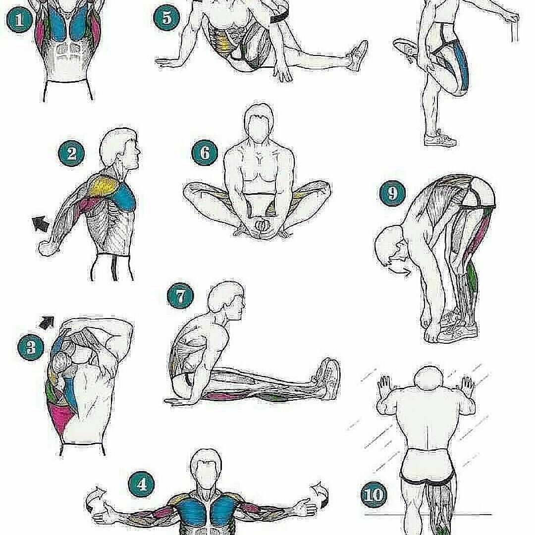 Stretching в фитнесе - что это такое? упражнения на растяжку в фитнесе